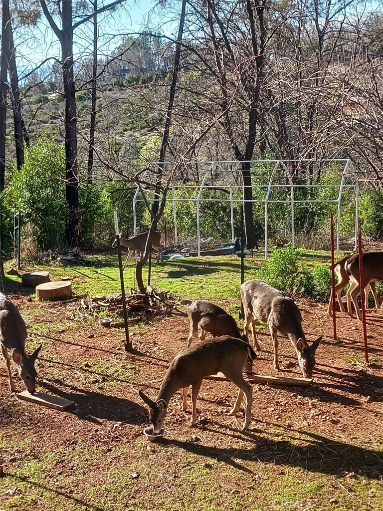 MLS #PA25227304 image #51