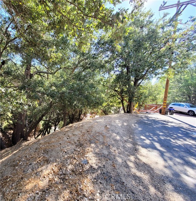 0 Berne Drive, Crestline, California 92325, ,Land,For Sale,0 Berne Drive,CRHD22154179