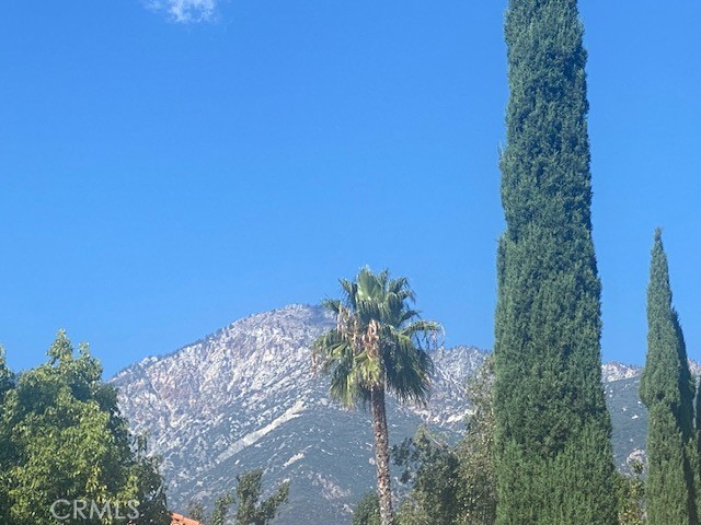 Detail Gallery Image 3 of 17 For 10854 Boulder Canyon Rd, Rancho Cucamonga,  CA 91737 - 4 Beds | 3 Baths