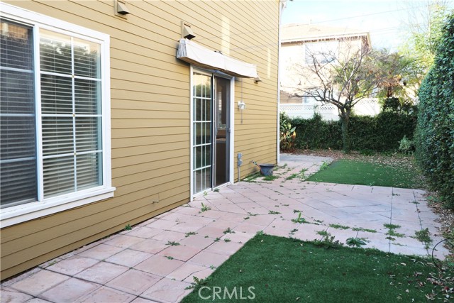 Back Yard 1