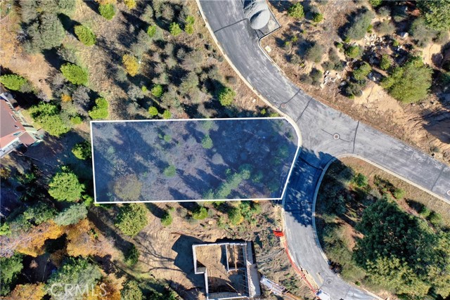 202 Hidden Forest Road, Lake Arrowhead, California 92352, ,Land,For Sale,202 Hidden Forest Road,CREV23214554