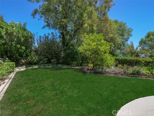 Backyard Upper Terrace
Grassy Area