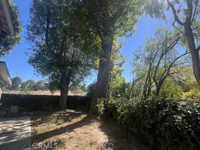 22611 Michale Street photo 33