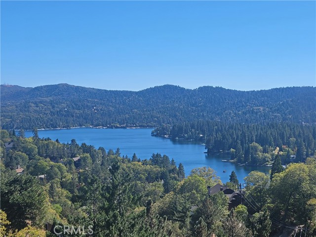 Detail Gallery Image 44 of 44 For 1161 Nadelhorn Dr, Lake Arrowhead,  CA 92352 - 5 Beds | 5 Baths