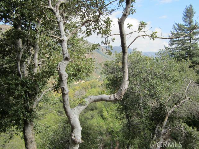 Detail Gallery Image 5 of 24 For 0 Burnt Mill Canyon Rd, Cedarpines Park,  CA 92322 - – Beds | – Baths
