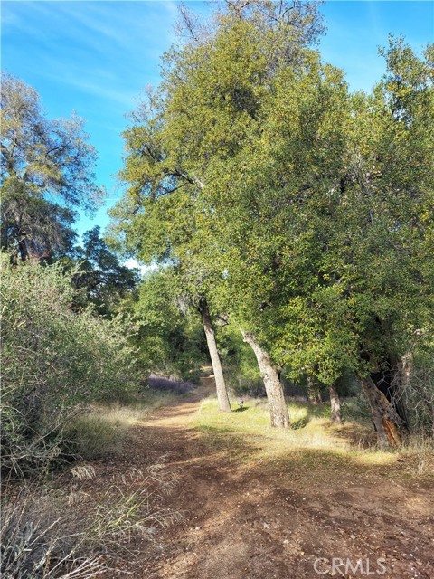 26068 25550 San Felipe Road, Warner Springs CA: https://media.crmls.org/medias/77b08536-dc26-4a5d-96f2-954a38a41935.jpg