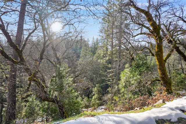 Detail Gallery Image 7 of 19 For 1191 Barney Way, West Point,  CA 95255 - – Beds | – Baths