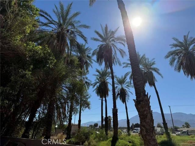 Detail Gallery Image 11 of 11 For 66820 Harrison, Thermal,  CA 92274 - 5 Beds | 2/1 Baths