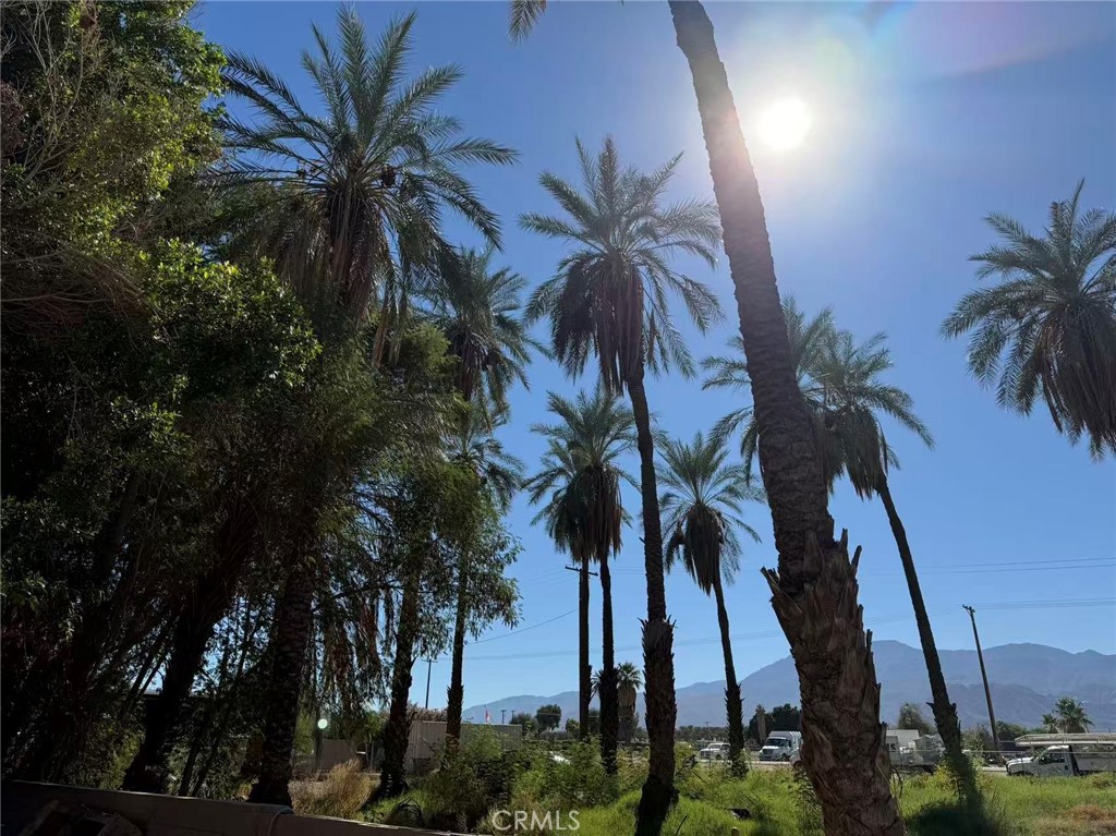 77B63455 Bb65 436D 9B09 2E75E3282Aca 66820 Harrison, Thermal, Ca 92274 &Lt;Span Style='BackgroundColor:transparent;Padding:0Px;'&Gt; &Lt;Small&Gt; &Lt;I&Gt; &Lt;/I&Gt; &Lt;/Small&Gt;&Lt;/Span&Gt;