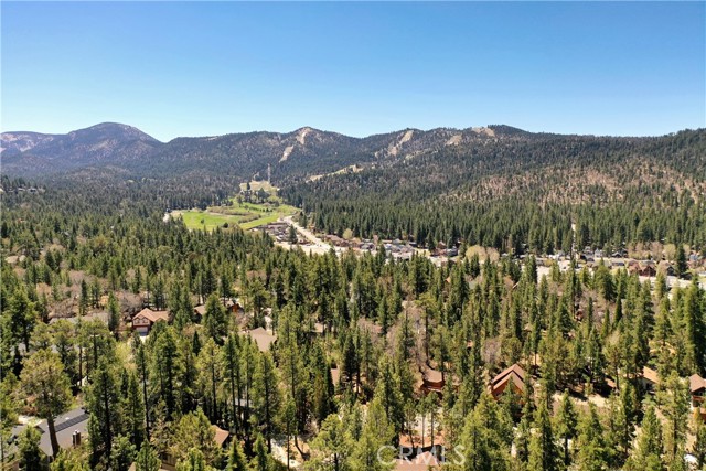 Detail Gallery Image 41 of 42 For 42646 Constellation Dr, Big Bear Lake,  CA 92315 - 4 Beds | 2 Baths