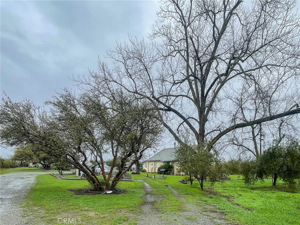 6960 County Rd 12, Orland, CA 95963