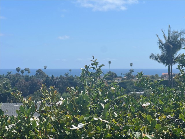 Detail Gallery Image 36 of 45 For 4119 Calle Mayo, San Clemente,  CA 92673 - 2 Beds | 2 Baths