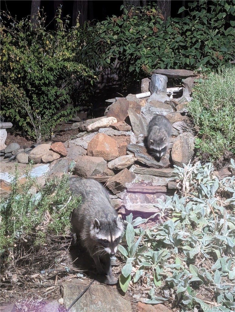 https://media.crmls.org/medias/77d01b52-5052-49f9-81bf-043bcdf8cdab.jpg?preset=X-Large