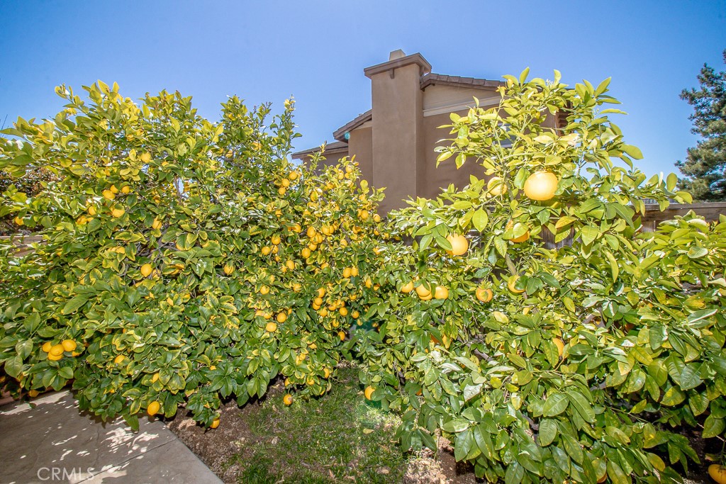 https://media.crmls.org/medias/77d3798a-1ac0-4a55-907a-90e72712ac03.jpg?preset=X-Large