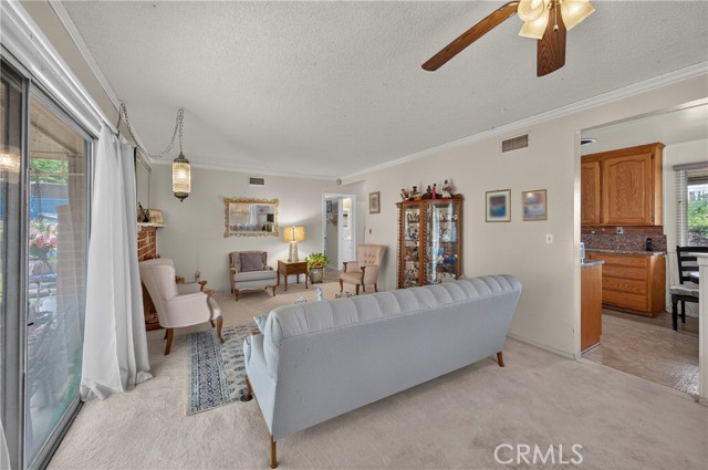 10928 Jamie photo 10