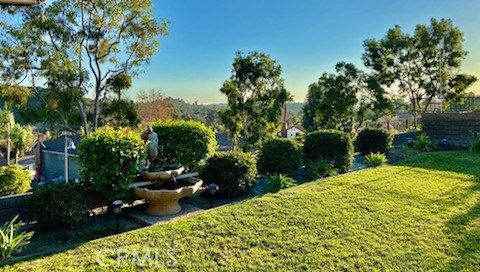 BREATH TAKING PANORAMIC VIEW LOCATION. The home is 2000 sq. ft. single level home and located toward the end of a cul de sac on a single loaded street in the Wilderness Glen area of Mission Viejo. This lovely home has been customized with an added breakfast room, an additional bathroom, most of the windows have been replaced, plus a newer A/C unit. It has has been well taken care of and a best of all is the SPECTATULAR VIEW LOT.