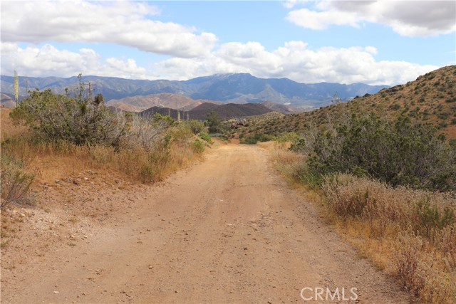 0 Vac/Cor Mountain Spring/Carrol, Acton, California 93510, ,Land,For Sale,0 Vac/Cor Mountain Spring/Carrol,CRSR23077660