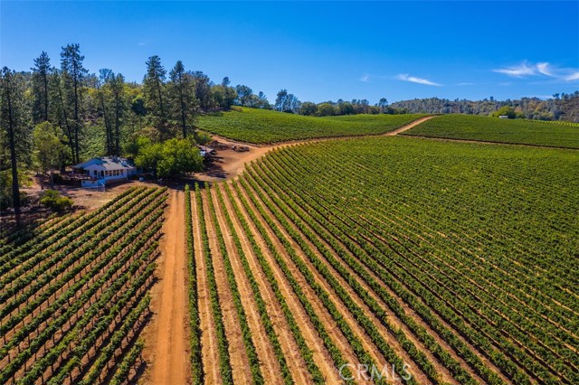 Photo of 9250 S State Hwy 29, Lower Lake, CA 95457