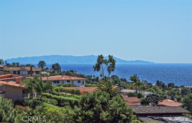 Ocean & Catalina Island View