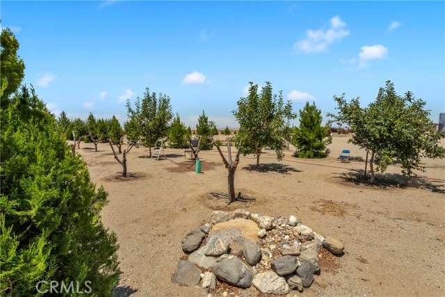 Detail Gallery Image 50 of 73 For 3002 Estero Rd, Pinon Hills,  CA 92372 - 4 Beds | 3/1 Baths