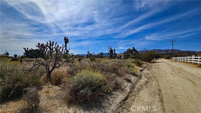 Front Image Thumbnail for CRSR26086205