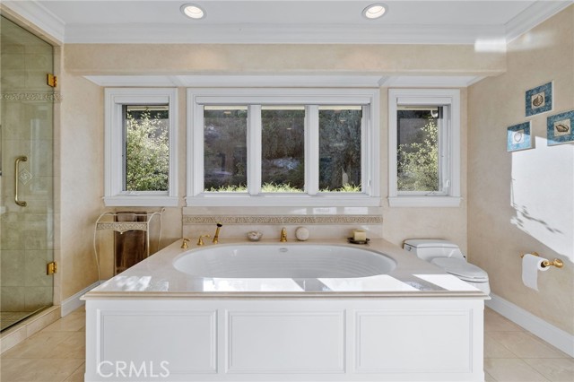 Master Bath Jacuzzi Tub