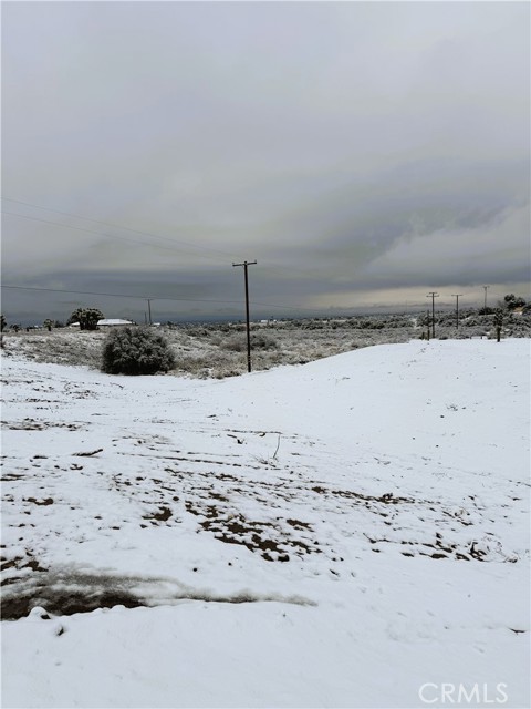 8686 Capelin Road, Phelan CA: https://media.crmls.org/medias/77ef6c8e-aa15-4f83-bd13-f6e5d96ede4c.jpg