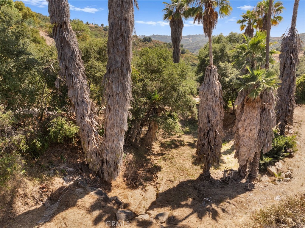 https://media.crmls.org/medias/77f45803-0a2c-46ed-a873-3ebb4f90c2ea.jpg?preset=X-Large