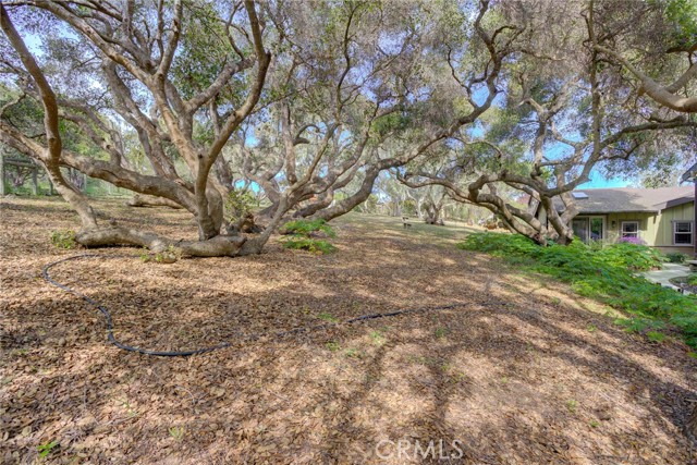 Detail Gallery Image 51 of 58 For 1785 Martingale Ave. Ave, Los Osos,  CA 93402 - 5 Beds | 3/1 Baths