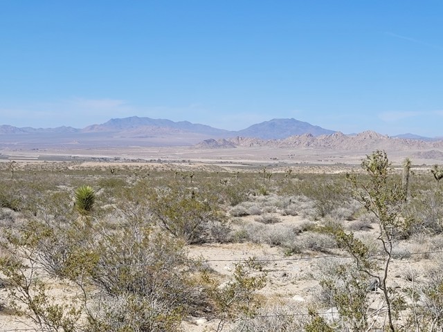 36939 Joy, Lucerne Valley, CA, 92356 36939 Joy, Lucerne Valley, CA, 92356