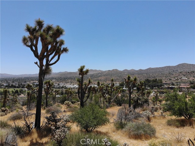 0 Yucca Trail, Yucca Valley, California 92284, ,Land,For Sale,0 Yucca Trail,CRJT23101215