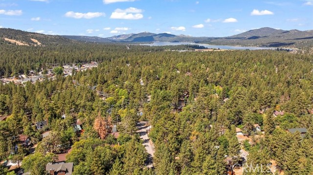 Detail Gallery Image 23 of 23 For 1160 W Alta Vista, Big Bear City,  CA 92314 - 2 Beds | 1 Baths