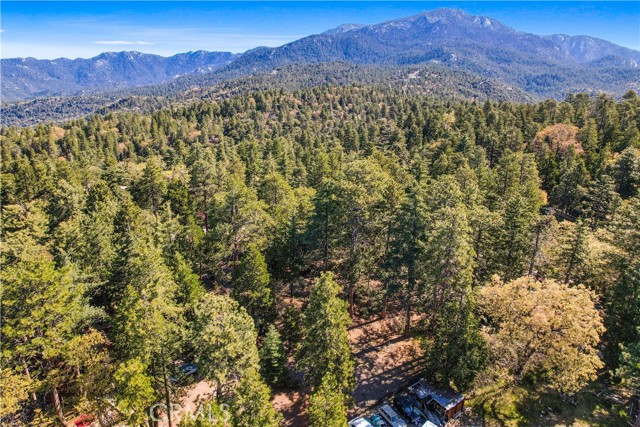 Detail Gallery Image 12 of 20 For 0 Pine Ridge Rd, Idyllwild,  CA 92548 - – Beds | – Baths
