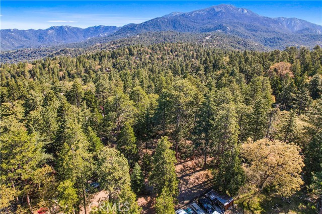 Detail Gallery Image 12 of 20 For 0 Pine Ridge Rd, Idyllwild,  CA 92548 - – Beds | – Baths