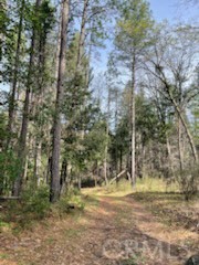 Detail Gallery Image 3 of 7 For 178 Bloomer Hill Rd, Berry Creek,  CA 95916 - – Beds | – Baths