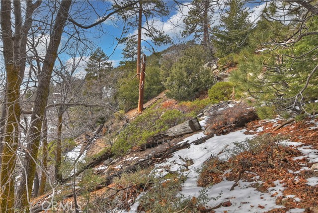 Detail Gallery Image 35 of 46 For 239 Big Bear Tract a,  Fawnskin,  CA 92333 - 1 Beds | 1 Baths