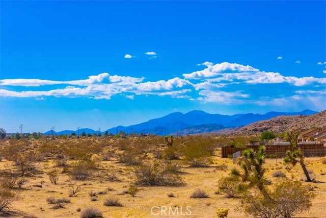 Detail Gallery Image 56 of 64 For 62455 Crestview Dr, Joshua Tree,  CA 92252 - 2 Beds | 2 Baths