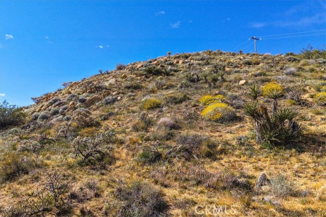 Detail Gallery Image 45 of 75 For 8500 S Samel Rd, Morongo Valley,  CA 92256 - 1 Beds | 1 Baths