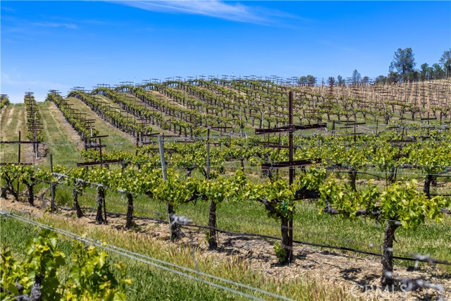 Detail Gallery Image 32 of 51 For 7875 Adobe Creek Rd, Kelseyville,  CA 95451 - 4 Beds | 4 Baths