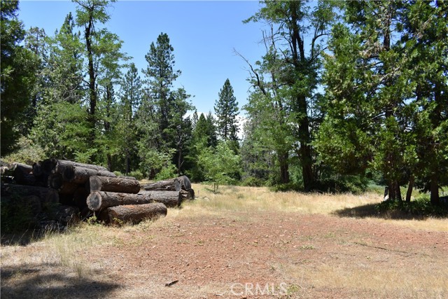 Detail Gallery Image 16 of 43 For 11605 La Porte Rd, Clipper Mills,  CA 95925 - 3 Beds | 2/1 Baths