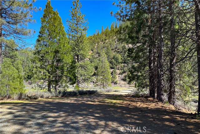 Detail Gallery Image 24 of 35 For 79402 State Highway 3, Trinity Center,  CA 96091 - – Beds | – Baths