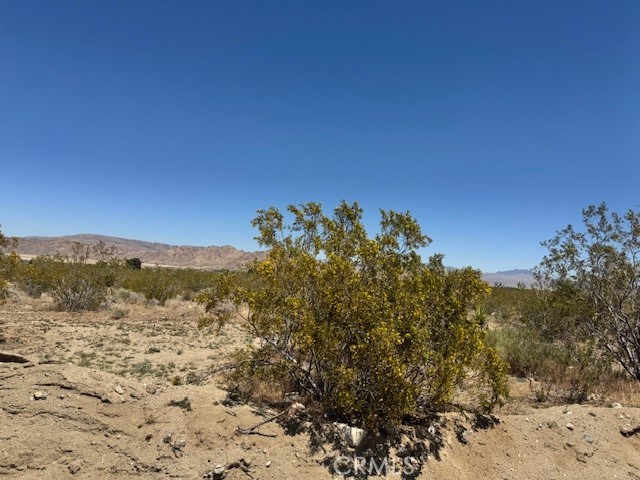 Detail Gallery Image 5 of 8 For 0 Miller Ranch Rd, Lucerne Valley,  CA 92356 - – Beds | – Baths