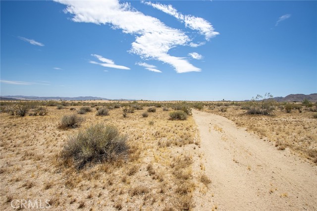 Detail Gallery Image 5 of 20 For 49000 Manzanita Dr, Johnson Valley,  CA 92285 - – Beds | – Baths