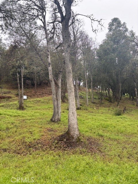 Detail Gallery Image 5 of 6 For 5877 Armijo, Clearlake,  CA 95422 - – Beds | – Baths