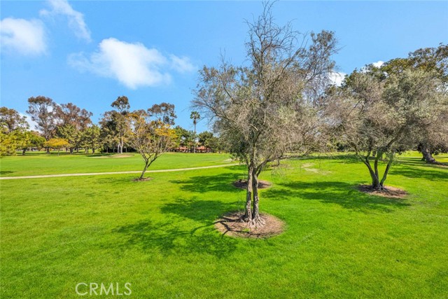 Detail Gallery Image 43 of 47 For 4338 Fairway Dr, Lakewood,  CA 90712 - 4 Beds | 3/1 Baths
