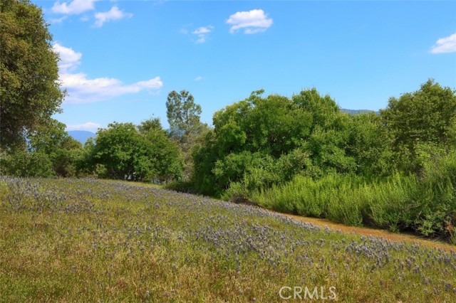 Detail Gallery Image 70 of 75 For 44800 Ahwahnee Acres Rd, Ahwahnee,  CA 93601 - 4 Beds | 2 Baths
