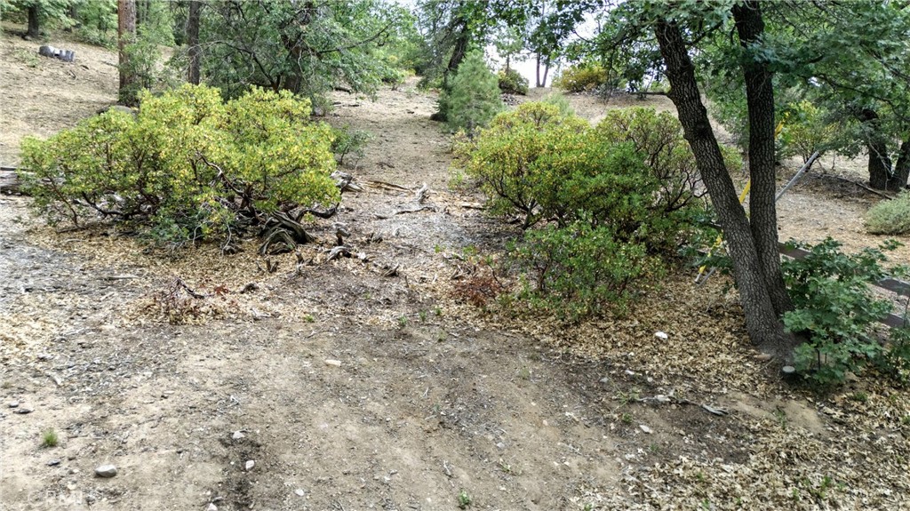 MLS #CV25165230 image #5