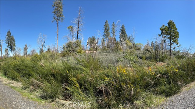 Detail Gallery Image 2 of 12 For 0 Starcrest Ln, Berry Creek,  CA 95916 - – Beds | – Baths