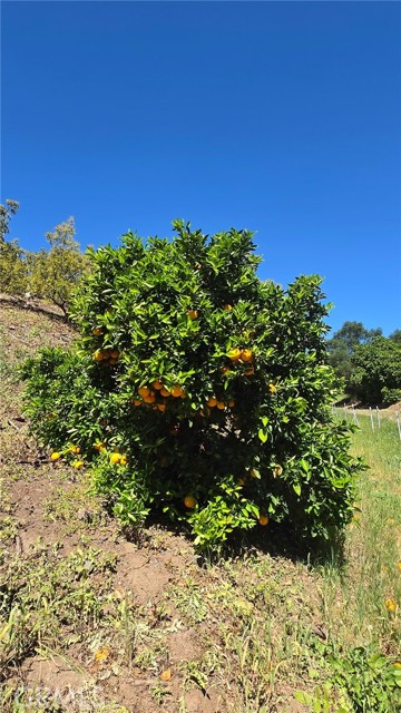 Detail Gallery Image 17 of 18 For 0 via Barranca, Temecula,  CA 92590 - – Beds | – Baths