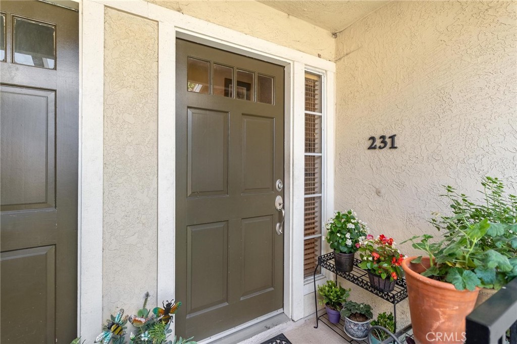 3555 Grove Street #231